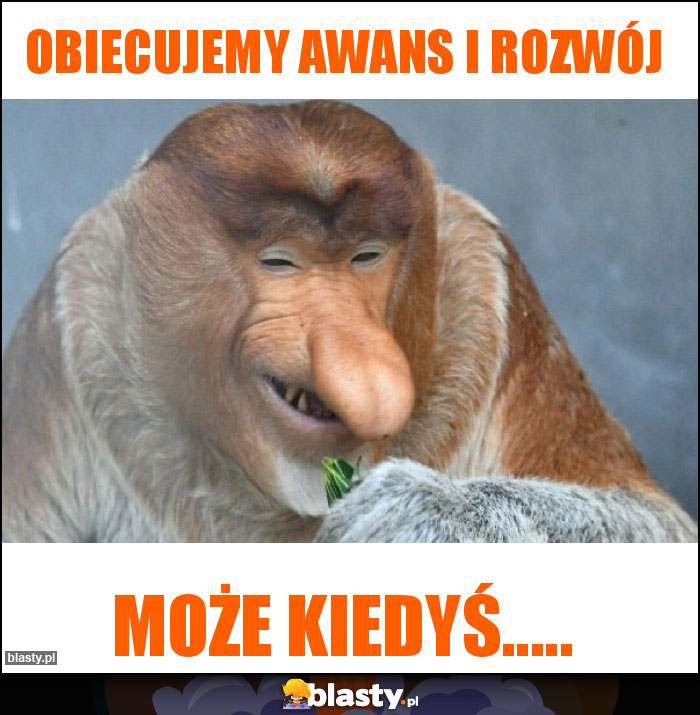 Obiecujemy awans i rozwój