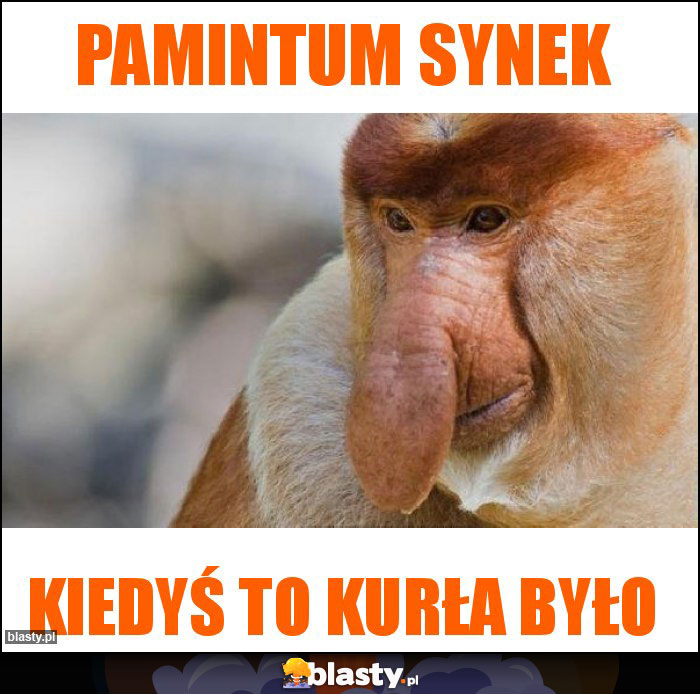 Pamintum synek Pamintum synek