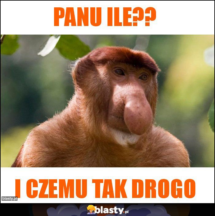 Panu ile?? Panu ile??