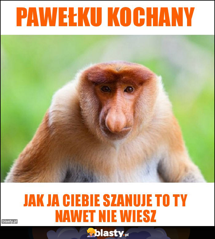 pawełku kochany pawełku kochany