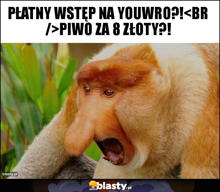 Płatny wstęp na YouWro?!
Piwo za 8 złoty?! Płatny wstęp na YouWro?!
Piwo za 8 złoty?!