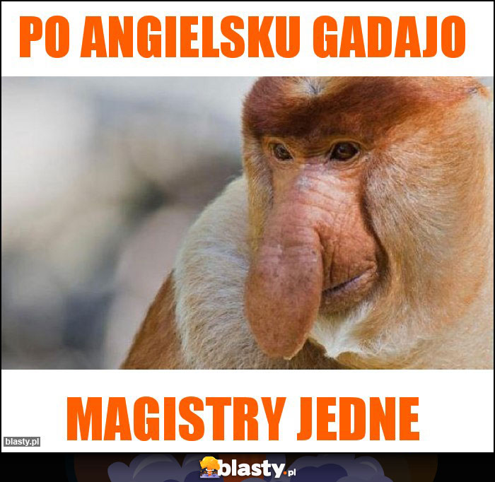 Po angielsku gadajo Po angielsku gadajo