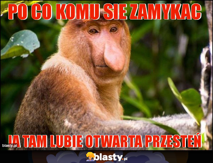 po co komu sie zamykac po co komu sie zamykac