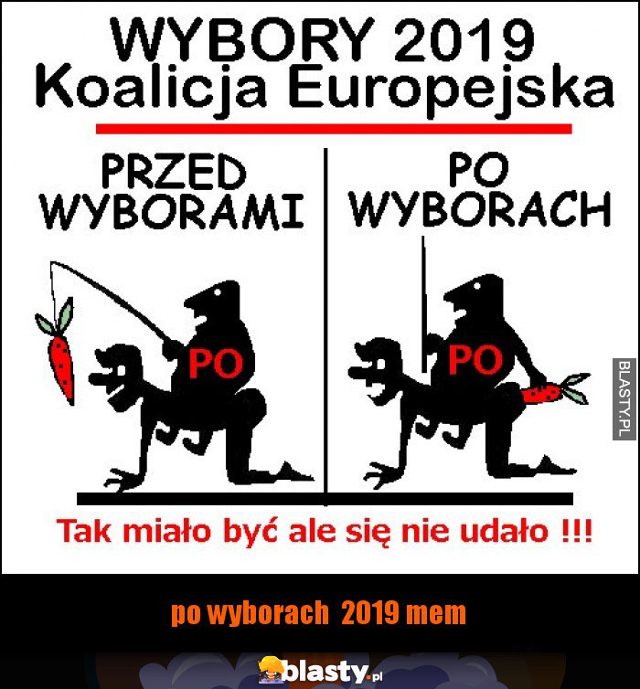 po wyborach 2019 mem po wyborach 2019 mem