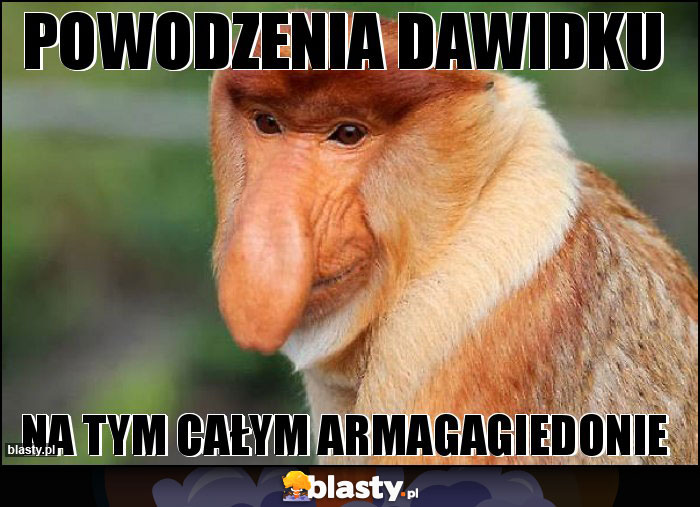 Powodzenia dawidku Powodzenia dawidku