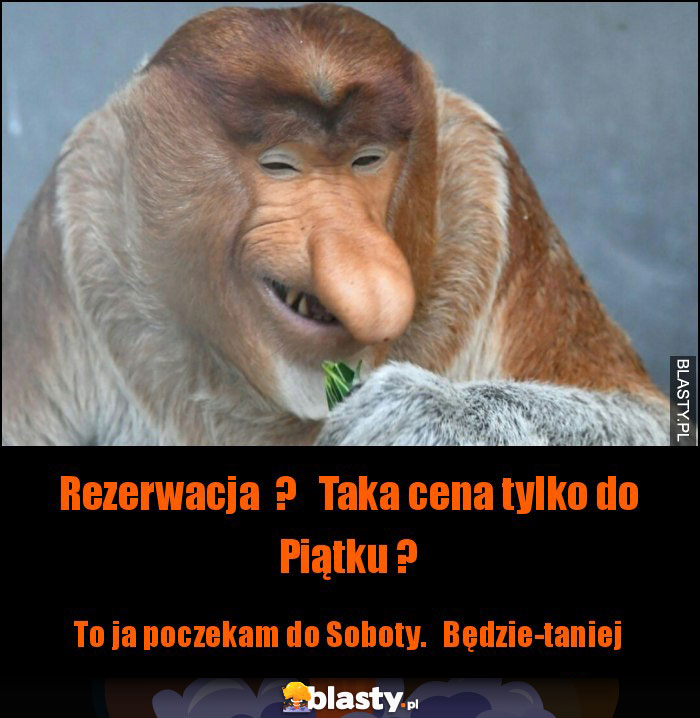 Rezerwacja ? Taka cena tylko do Piątku ? Rezerwacja ? Taka cena tylko do Piątku ?