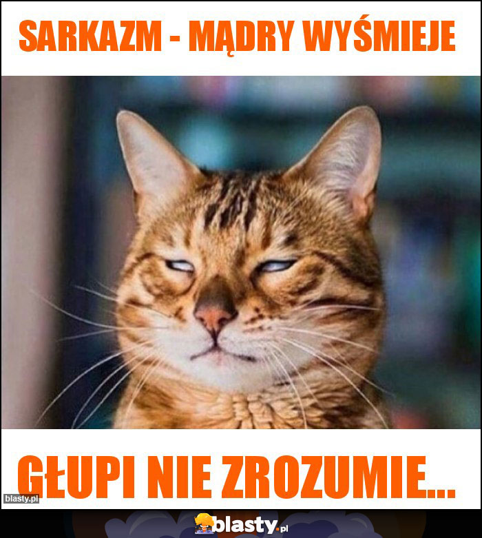 Sarkazm - Mądry wyśmieje Sarkazm - Mądry wyśmieje