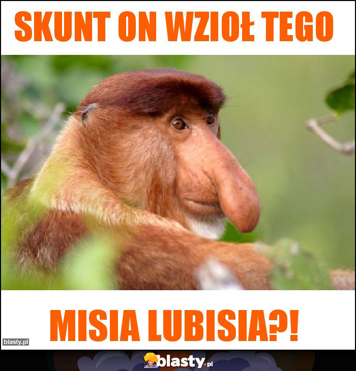 Skunt on wzioł tego Skunt on wzioł tego