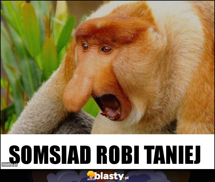 Somsiad robi taniej Somsiad robi taniej