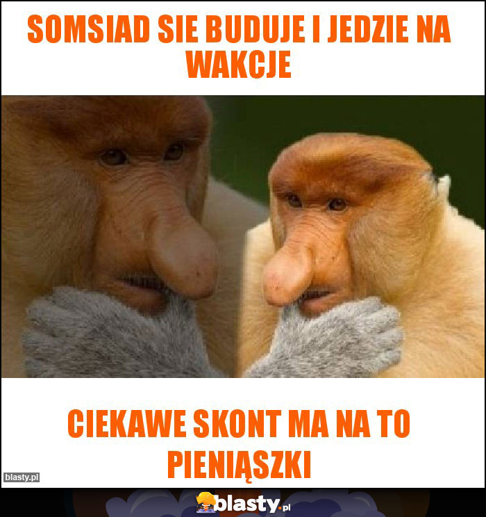 Somsiad sie buduje i jedzie na wakcje Somsiad sie buduje i jedzie na wakcje