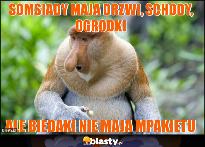 somsiady maja drzwi, schody, ogrodki somsiady maja drzwi, schody, ogrodki