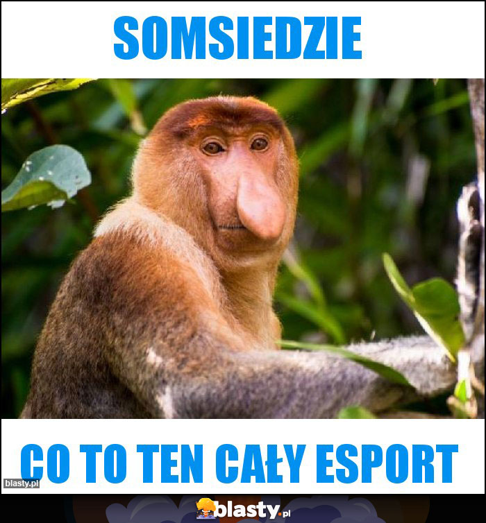 SOMSIEDZIE SOMSIEDZIE