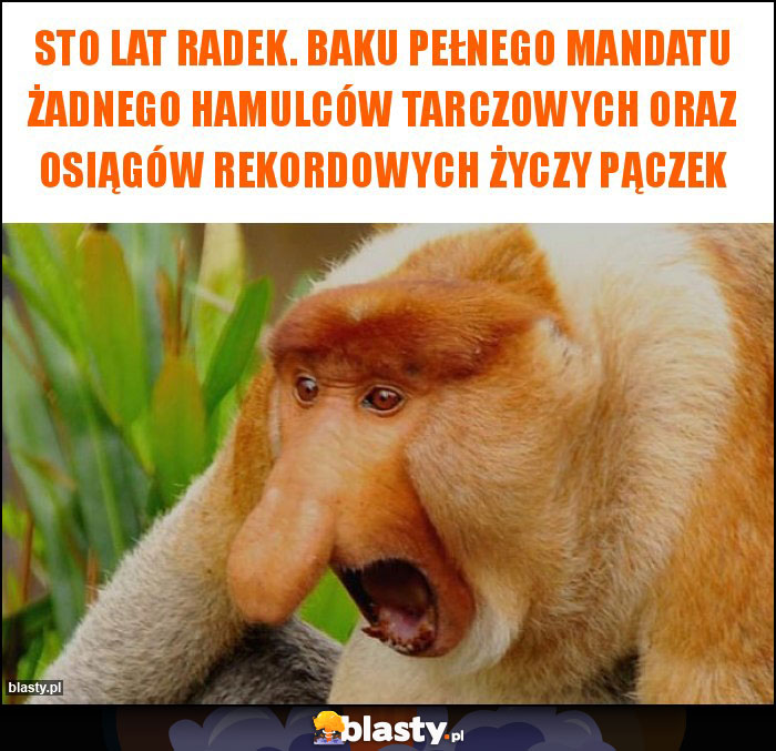 Sto lat Radek. Baku pełnego mandatu żadnego hamulców tarczowych oraz osiągów rekordowych życzy pączek Sto lat Radek. Baku pełnego mandatu żadnego hamulców tarczowych oraz osiągów rekordowych życzy pączek