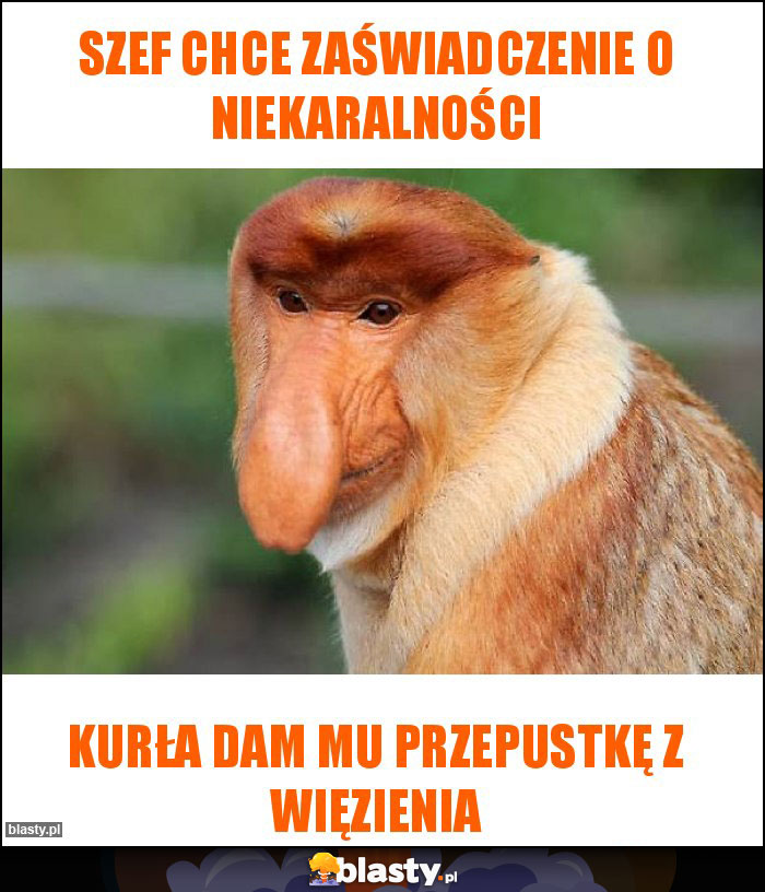 Szef chce zaświadczenie o niekaralności Szef chce zaświadczenie o niekaralności