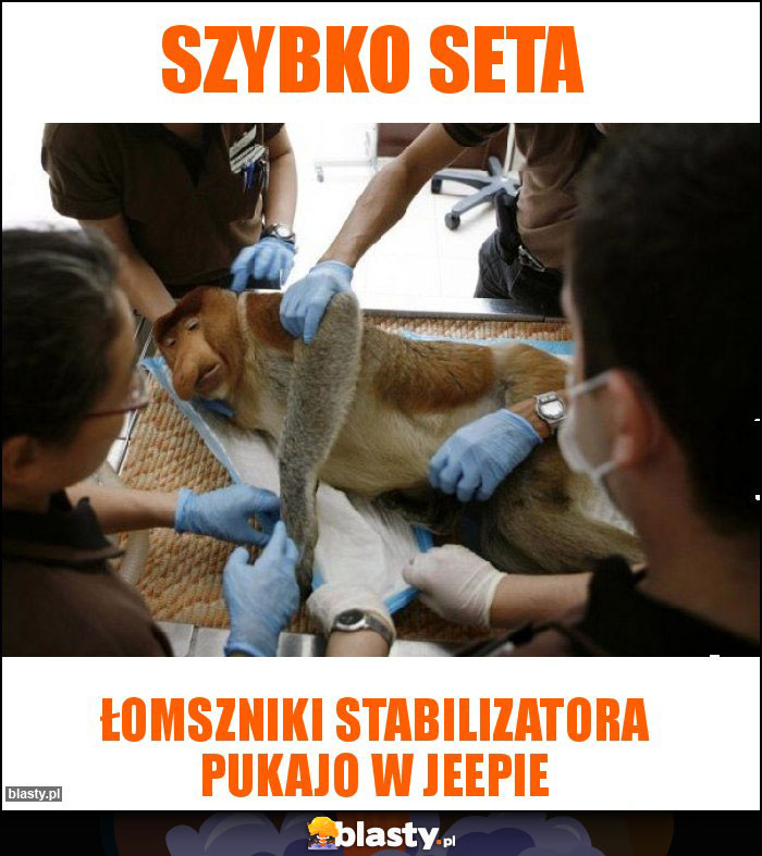 Szybko seta Szybko seta