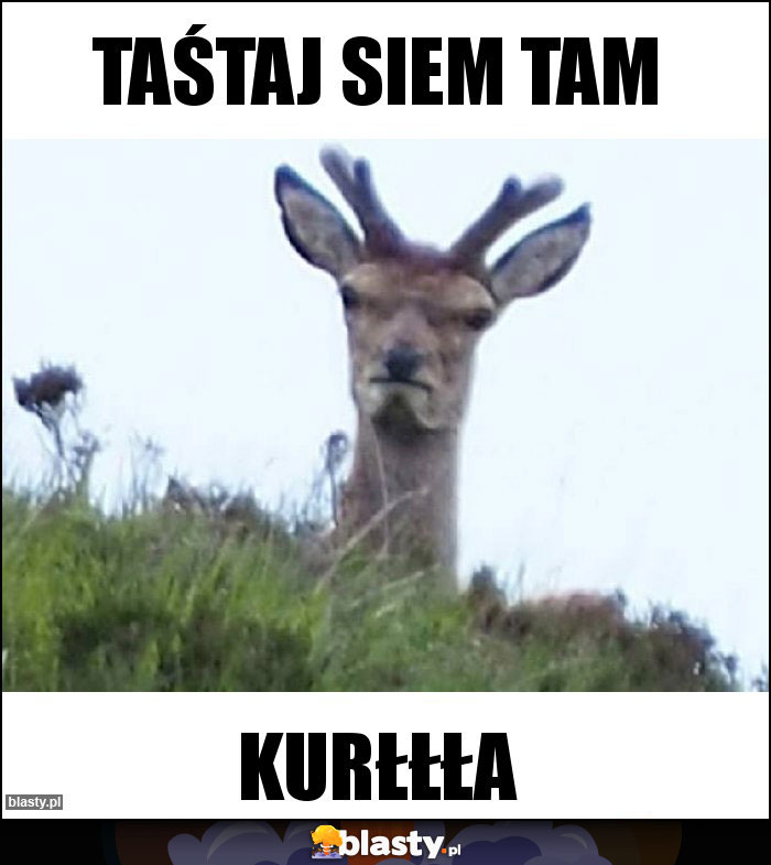Taśtaj siem tam Taśtaj siem tam
