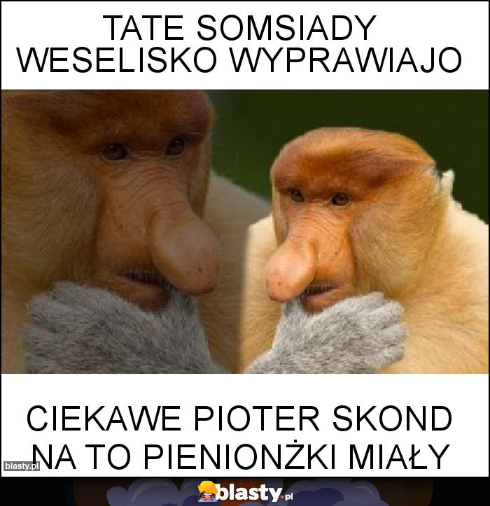 Tate somsiady weselisko wyprawiajo Tate somsiady weselisko wyprawiajo