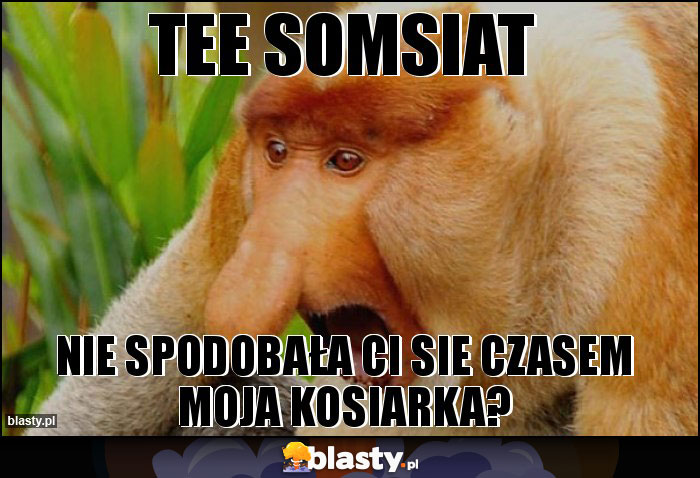 tee somsiat