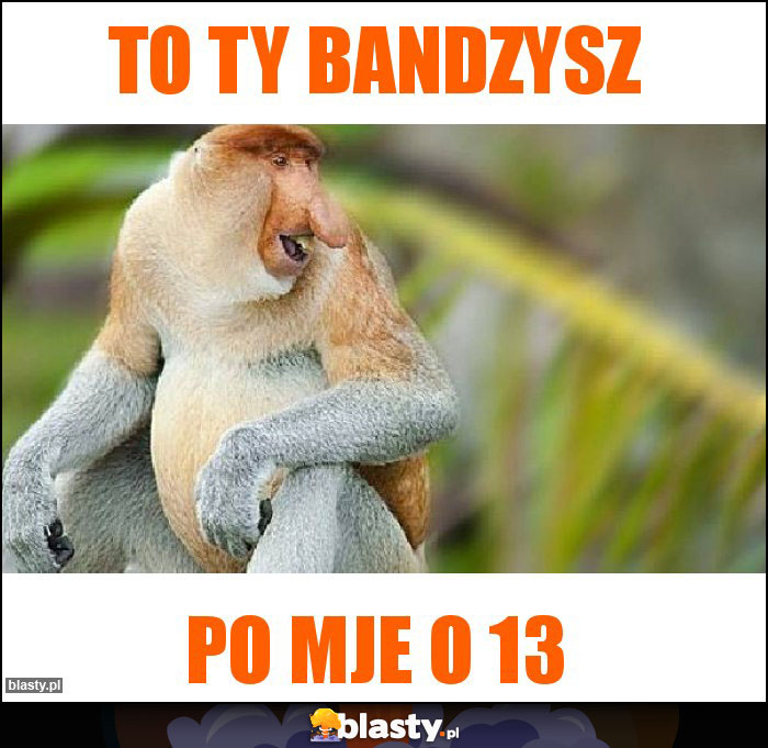 To ty bandzysz