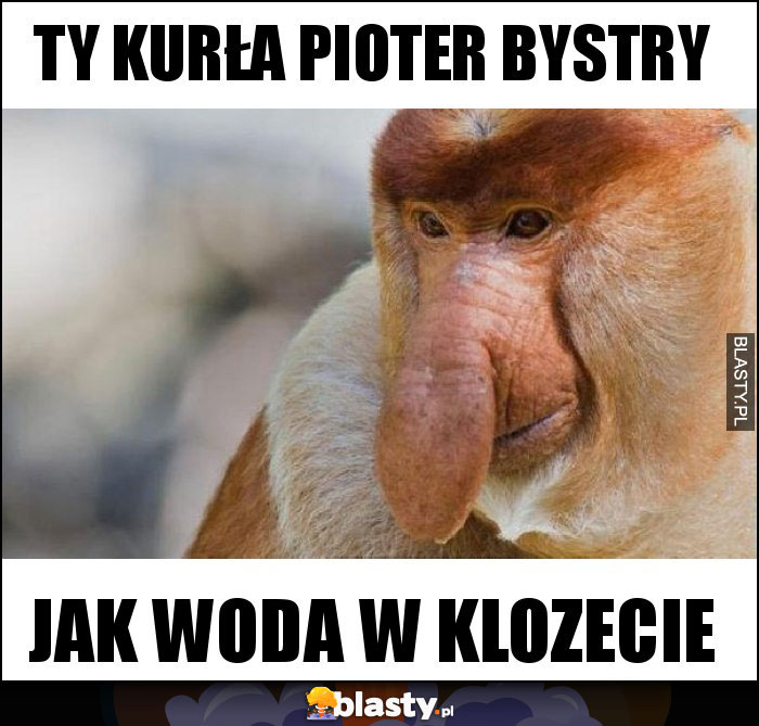 Ty kurła Pioter bystry