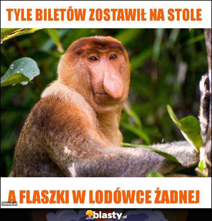 Tyle biletów zostawił na stole Tyle biletów zostawił na stole
