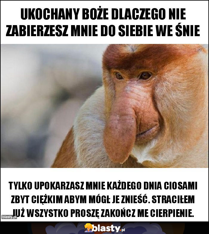 Ukochany Boże dlaczego nie zabierzesz mnie do siebie we śnie Ukochany Boże dlaczego nie zabierzesz mnie do siebie we śnie