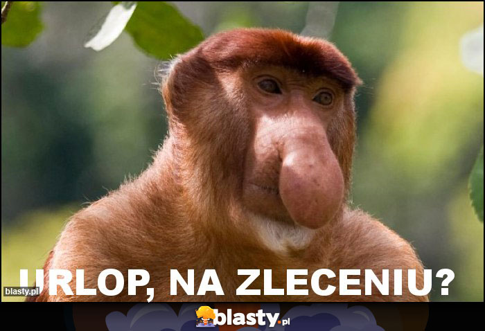 Urlop, na zleceniu? Urlop, na zleceniu?