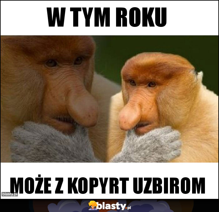W tym roku W tym roku