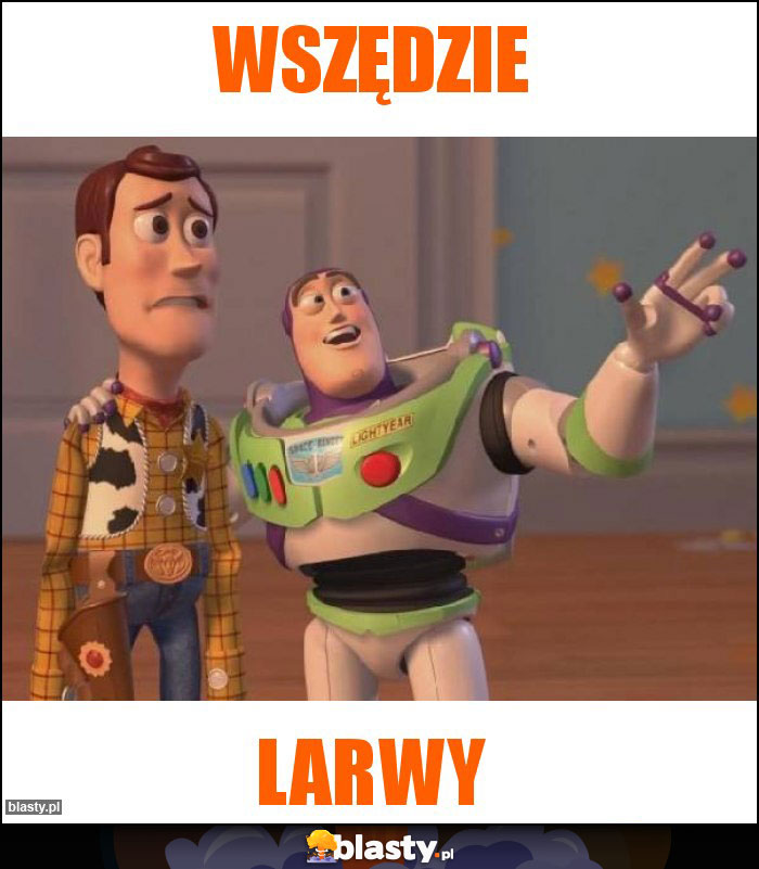 Wszędzie