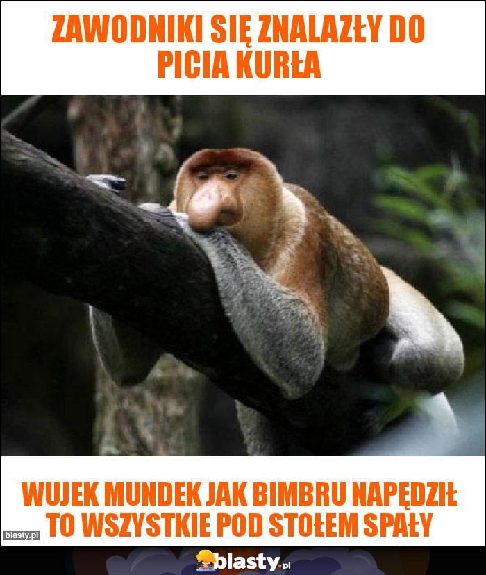 Zawodniki się znalazły do picia kurła Zawodniki się znalazły do picia kurła