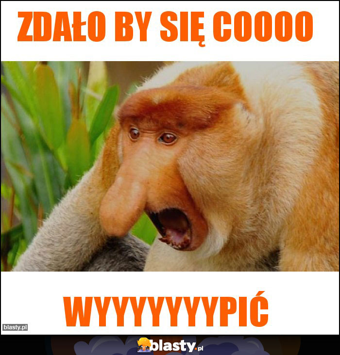 Zdało by się coooo