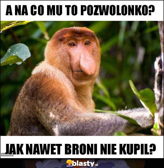 A na co mu to pozwolonko? A na co mu to pozwolonko?