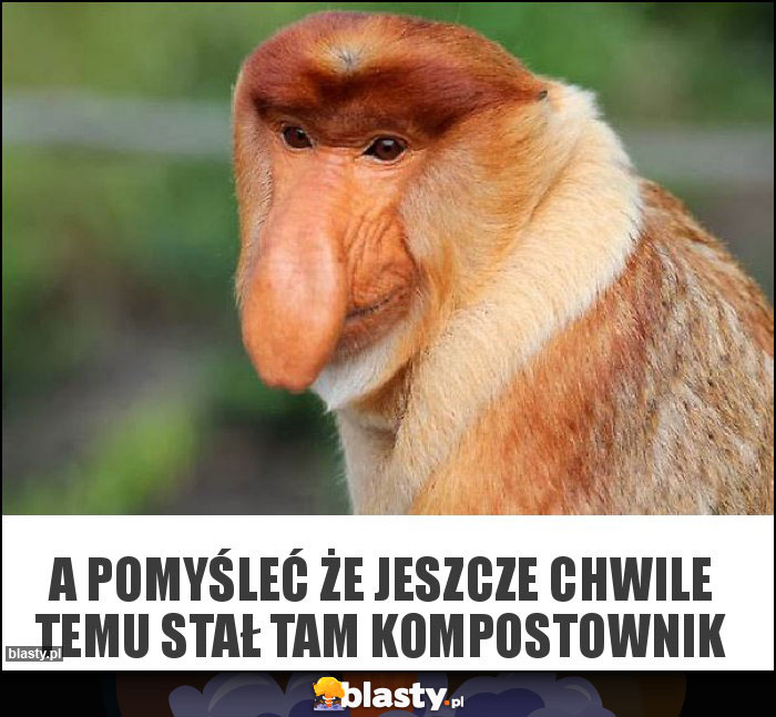 A POMYŚLEĆ ŻE JESZCZE CHWILE TEMU STAŁ TAM KOMPOSTOWNIK A POMYŚLEĆ ŻE JESZCZE CHWILE TEMU STAŁ TAM KOMPOSTOWNIK