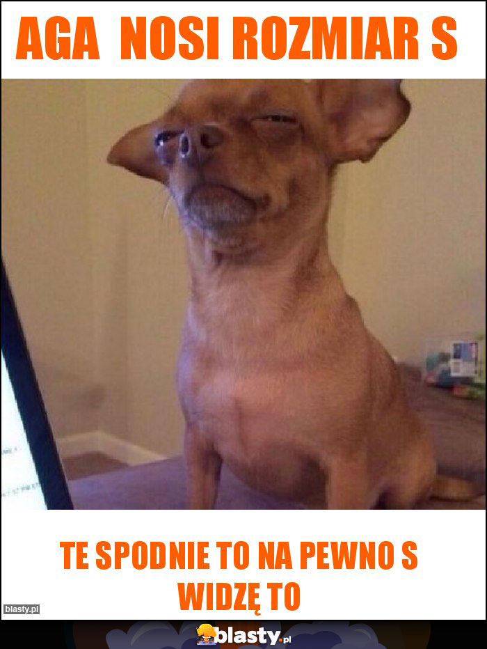 Aga nosi rozmiar S Aga nosi rozmiar S