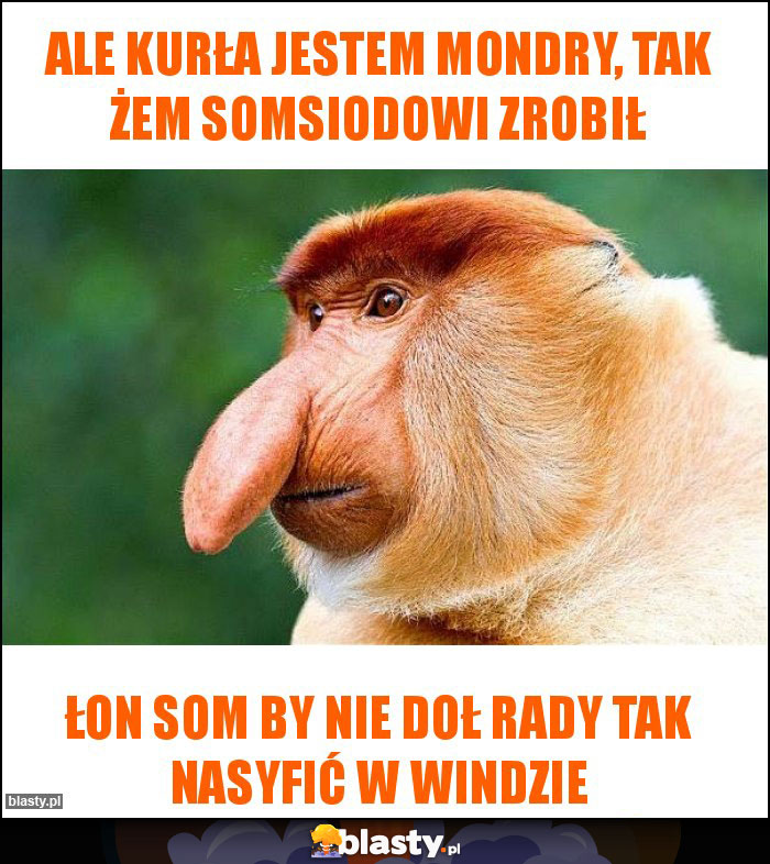 ale kurŁa jestem mondry, tak żem somsiodowi zrobił ale kurŁa jestem mondry, tak żem somsiodowi zrobił