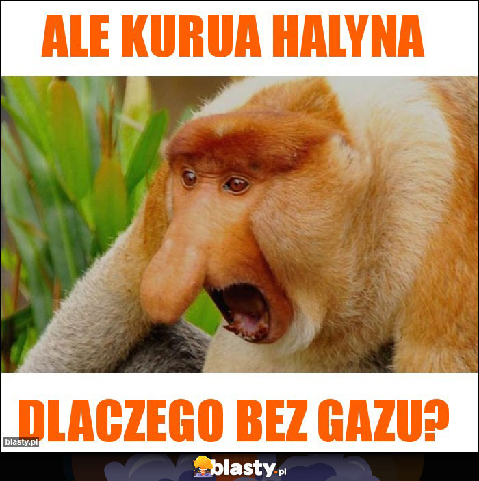 Ale kurua halyna Ale kurua halyna