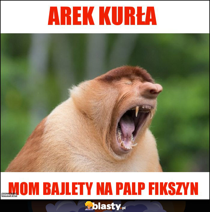 ARek kurła