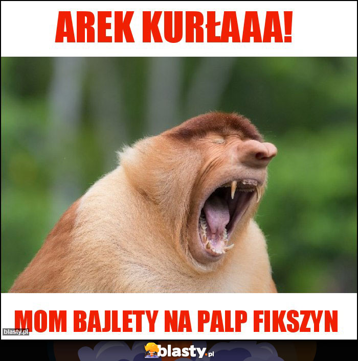 arek kurłaaa!