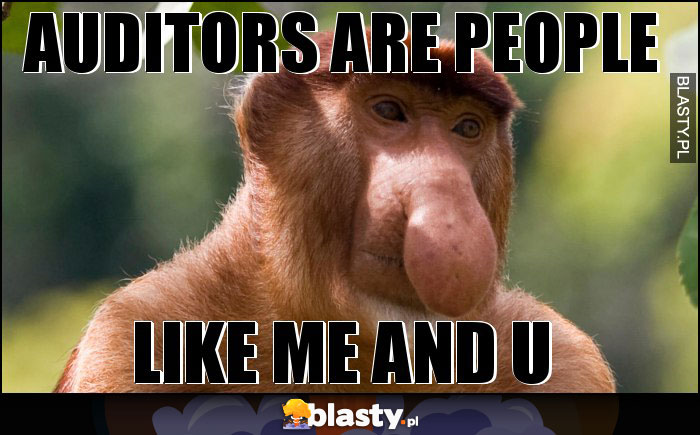 Auditors are people