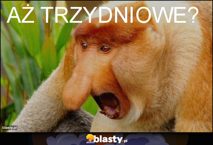 Aż trzydniowe? Aż trzydniowe?