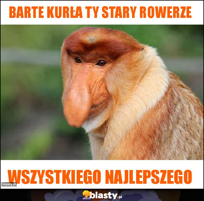 BARTE KURŁA TY STARY ROWERZE BARTE KURŁA TY STARY ROWERZE