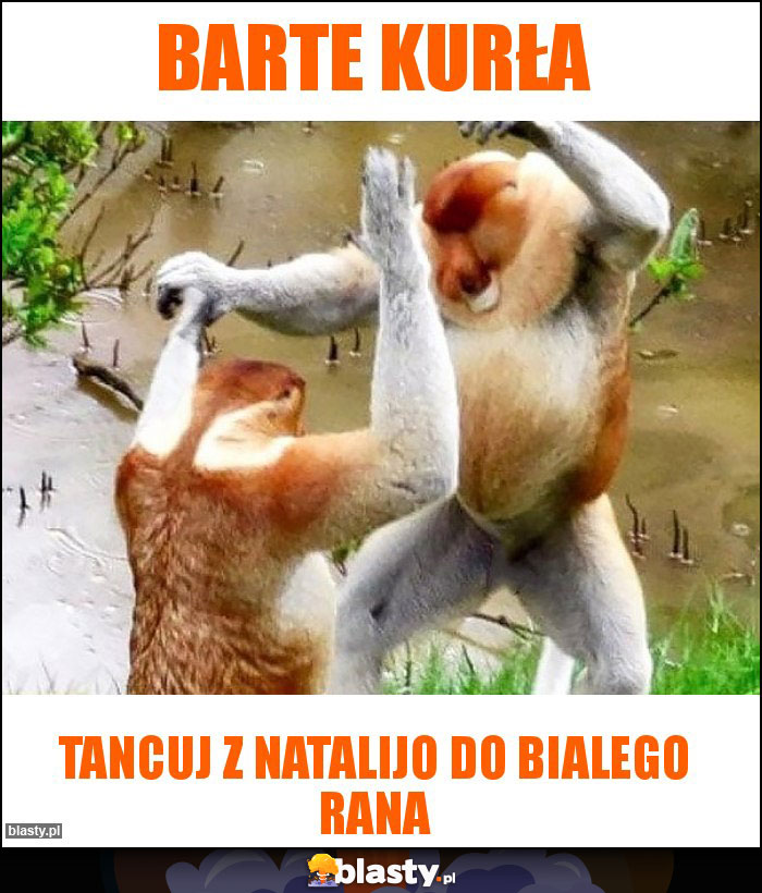 BARTE KURŁA BARTE KURŁA