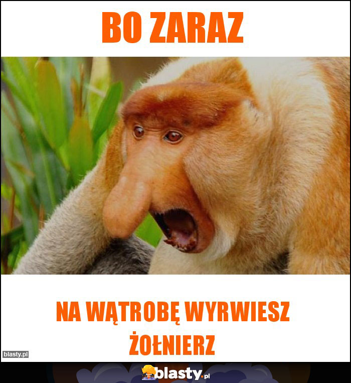 Bo zaraz