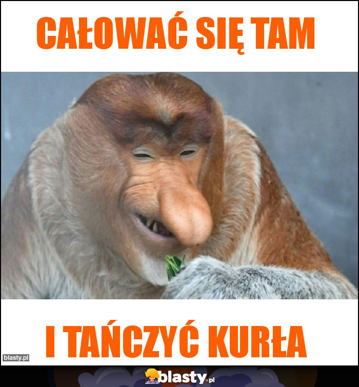 Całować się tam Całować się tam