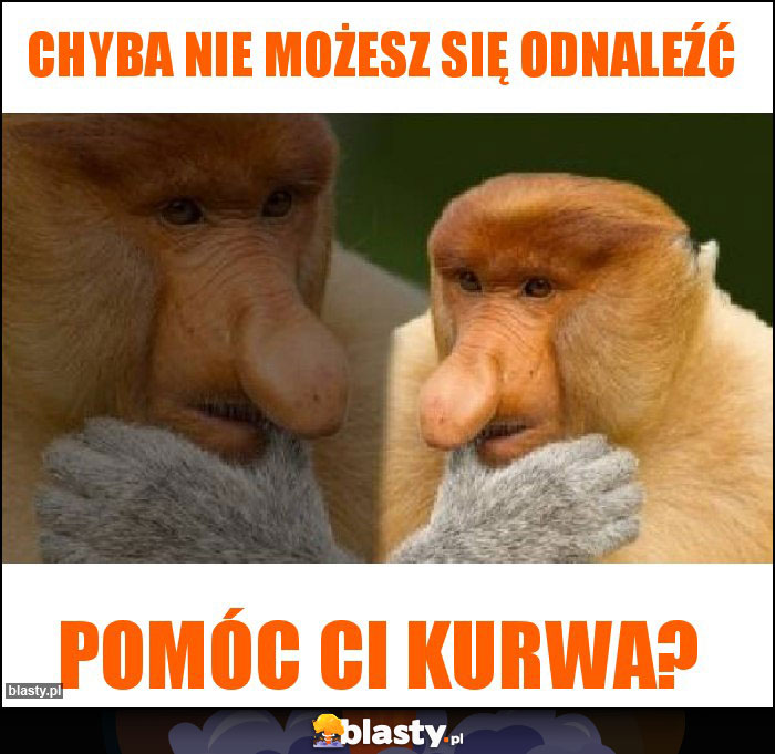 Chyba nie możesz się odnaleźć Chyba nie możesz się odnaleźć
