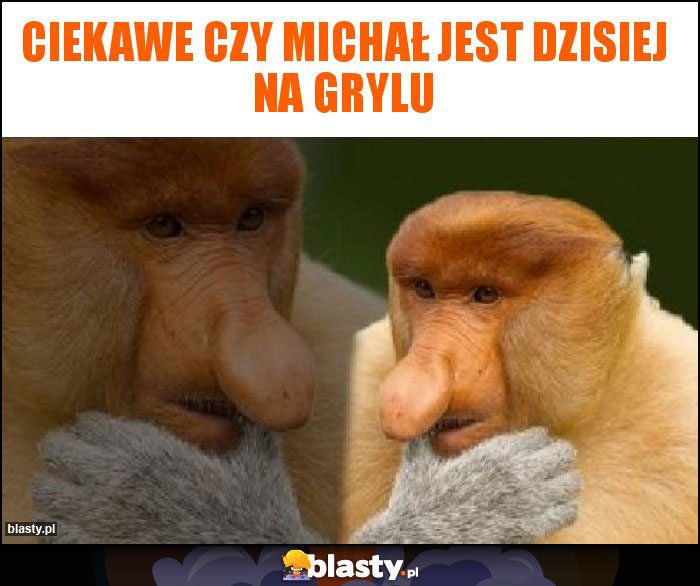 Ciekawe czy michał jest dzisiej na grylu Ciekawe czy michał jest dzisiej na grylu