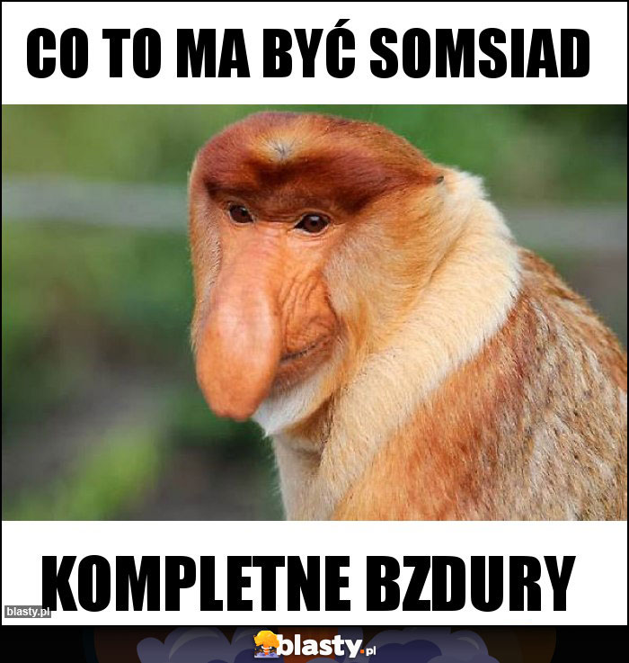 Co to ma być Somsiad Co to ma być Somsiad