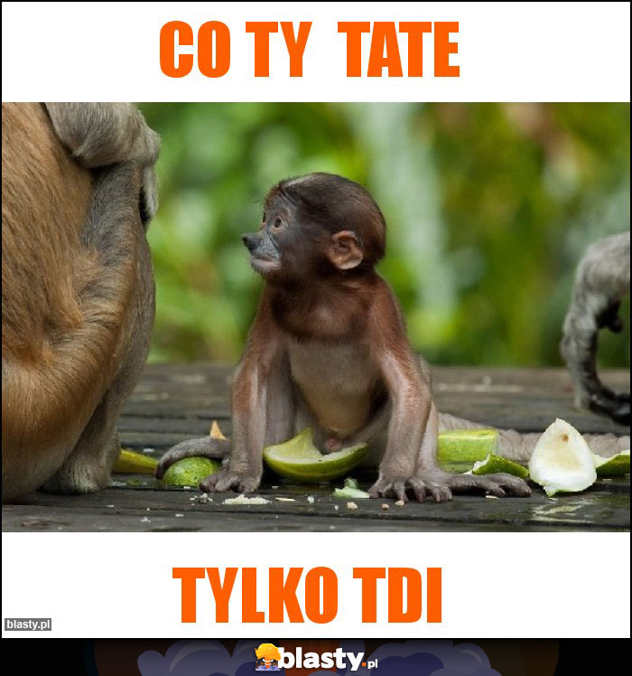 co ty tate co ty tate