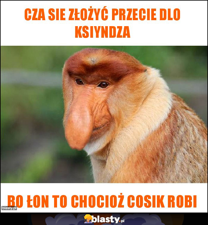Cza sie złożyć przecie dlo ksiyndza Cza sie złożyć przecie dlo ksiyndza