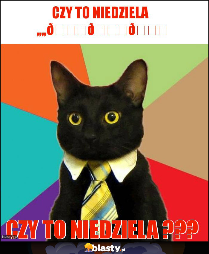 CZY TO NIEDZIELA ,,,,???????????? CZY TO NIEDZIELA ,,,,????????????